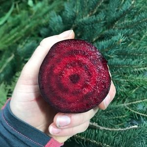 Meet your Posher, Willow